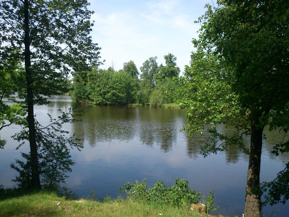 Саранск Мордовия природа