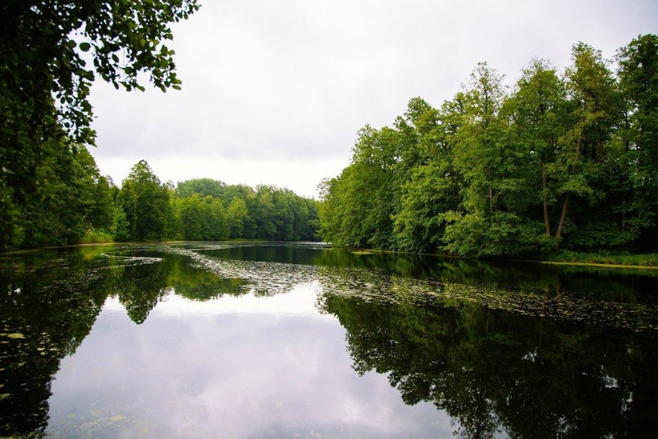 Мордовский заповедник река Мокша