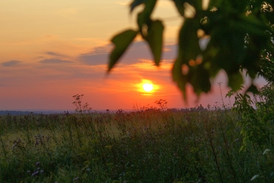 Природа Мордовии