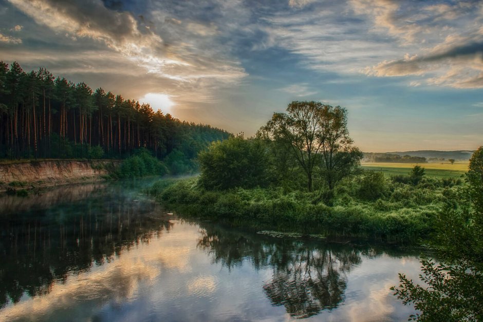 Природа Курской области