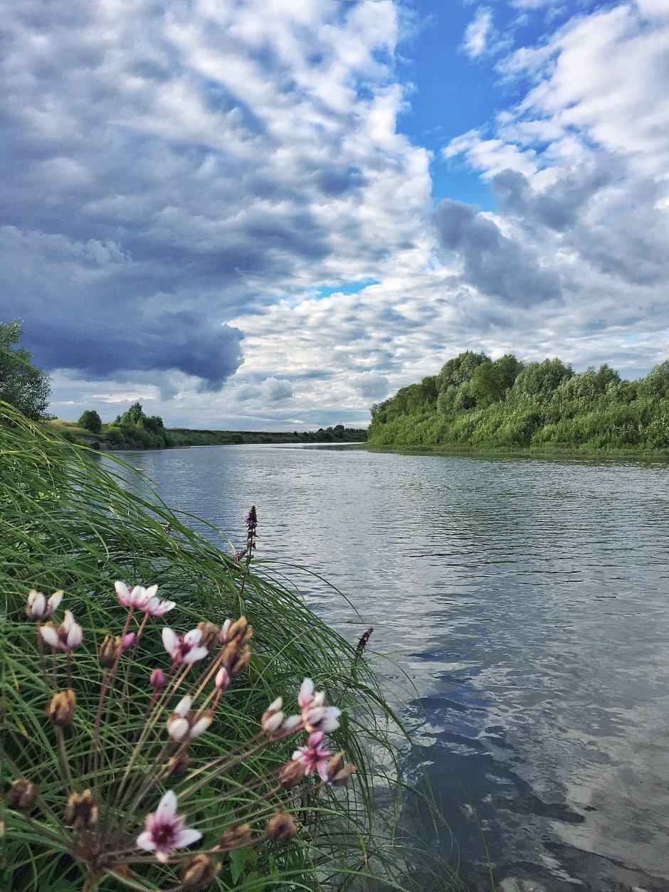 Река Мокша в Мордовии