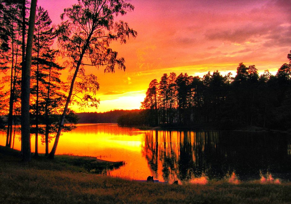 Красоты Екатеринбурга природа