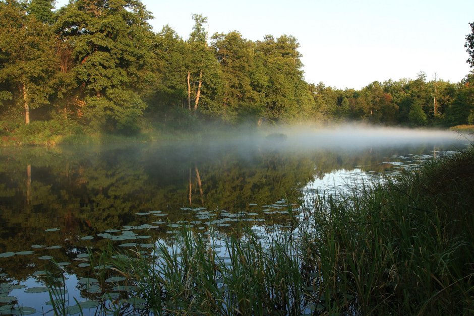 Мордовский заповедник Темников