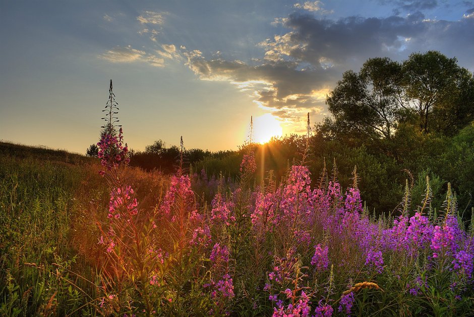 Саранск природа