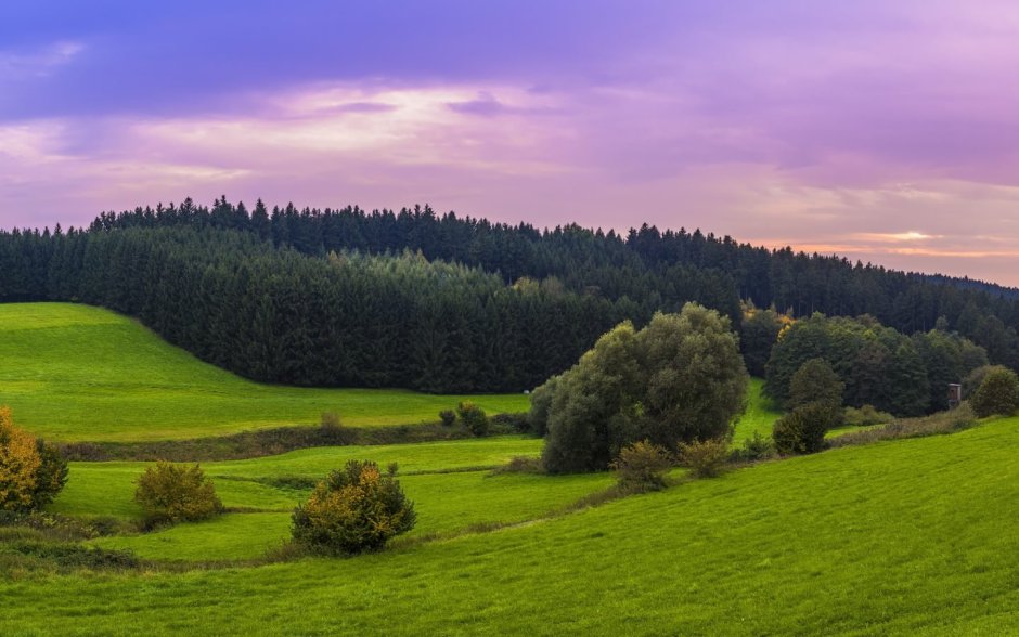 Поля Мордовии