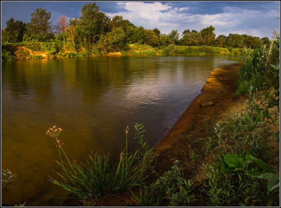Река Мокша в Мордовии
