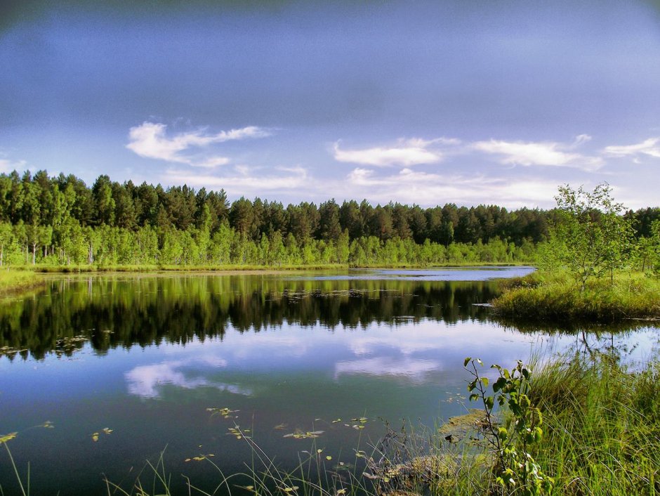 Национальный парк Смольный
