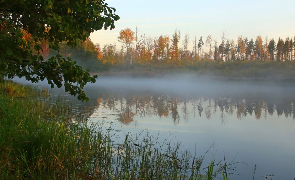 Озеро Инерка Мордовия