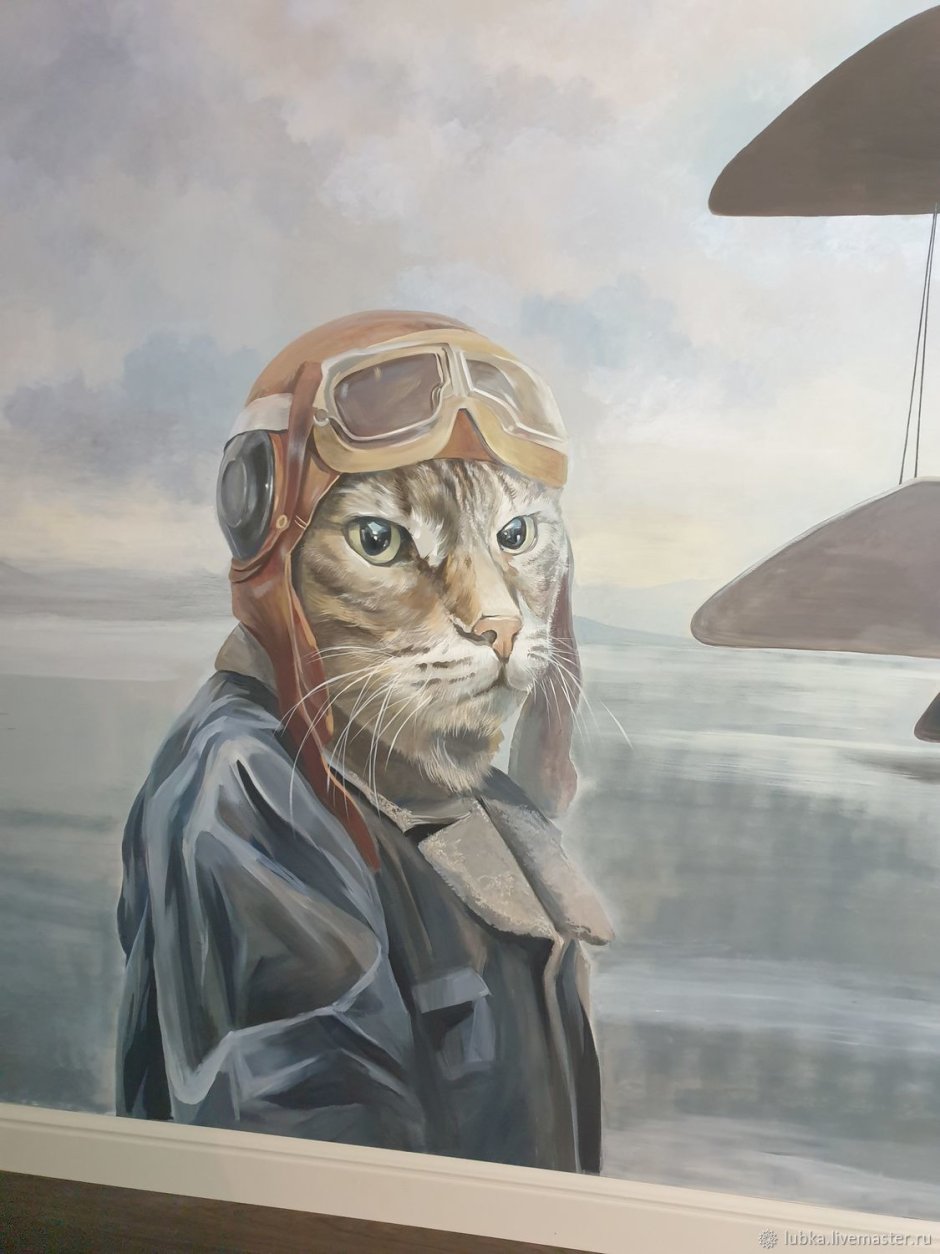 Кот пилот картинки