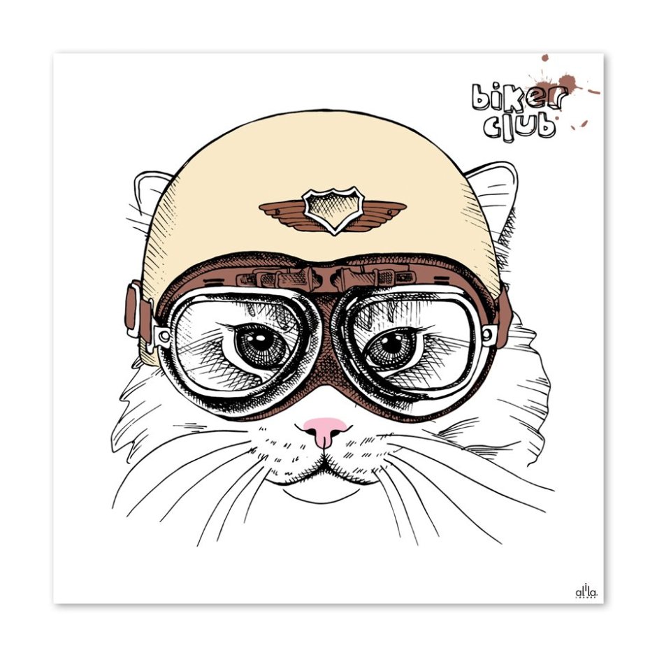 Кот в шлеме рисунок