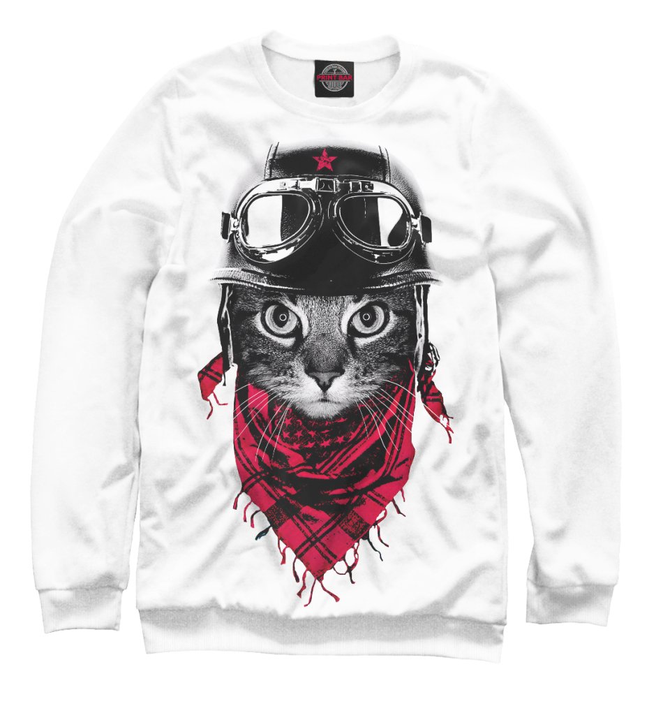 Кот Авиатор