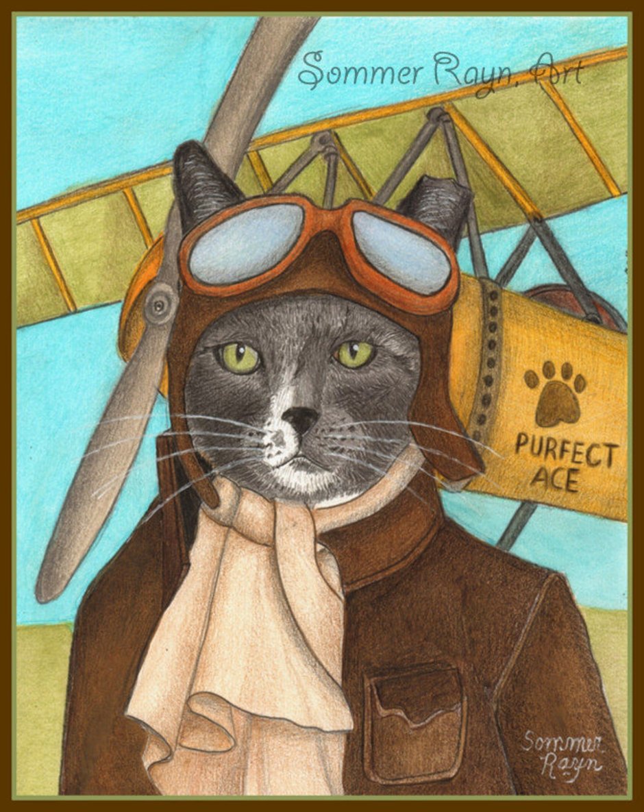 Коты летчики