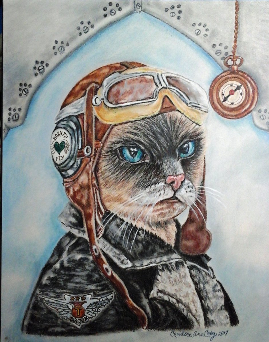 Пес Авиатор