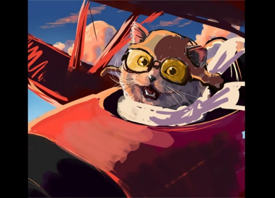 Коты пилоты