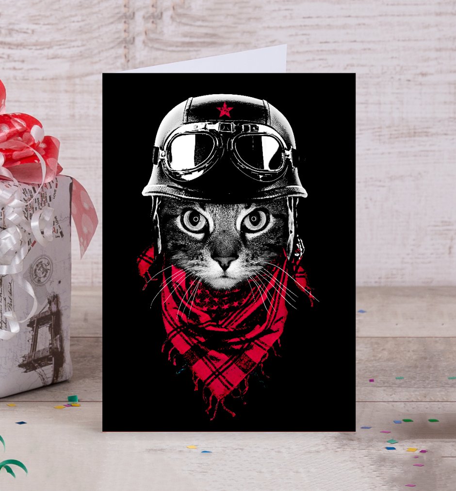 Кот пилот картинки