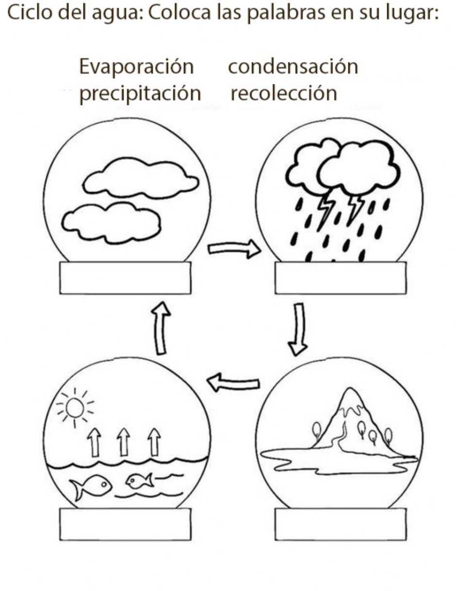 Water Cycle for Kids Worksheets