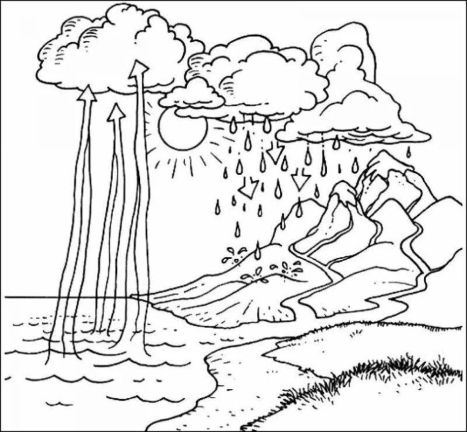 Раскраска вода