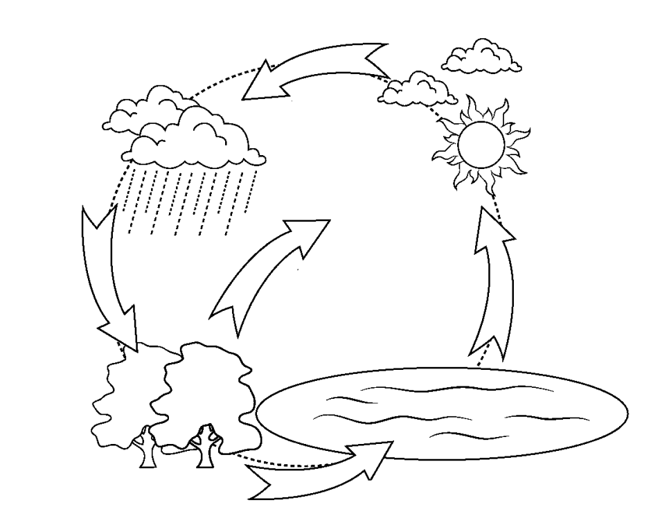 Схема круговорота воды