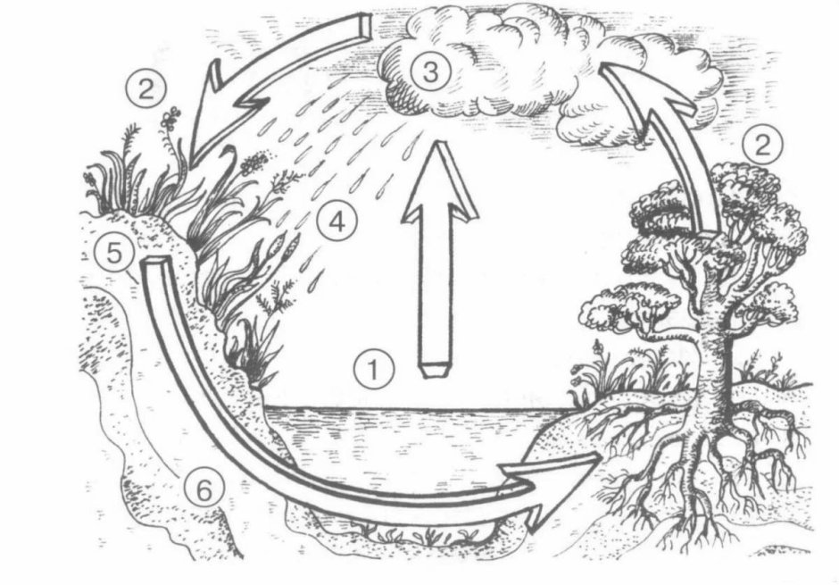 Раскраска круговорот воды в природе для детей