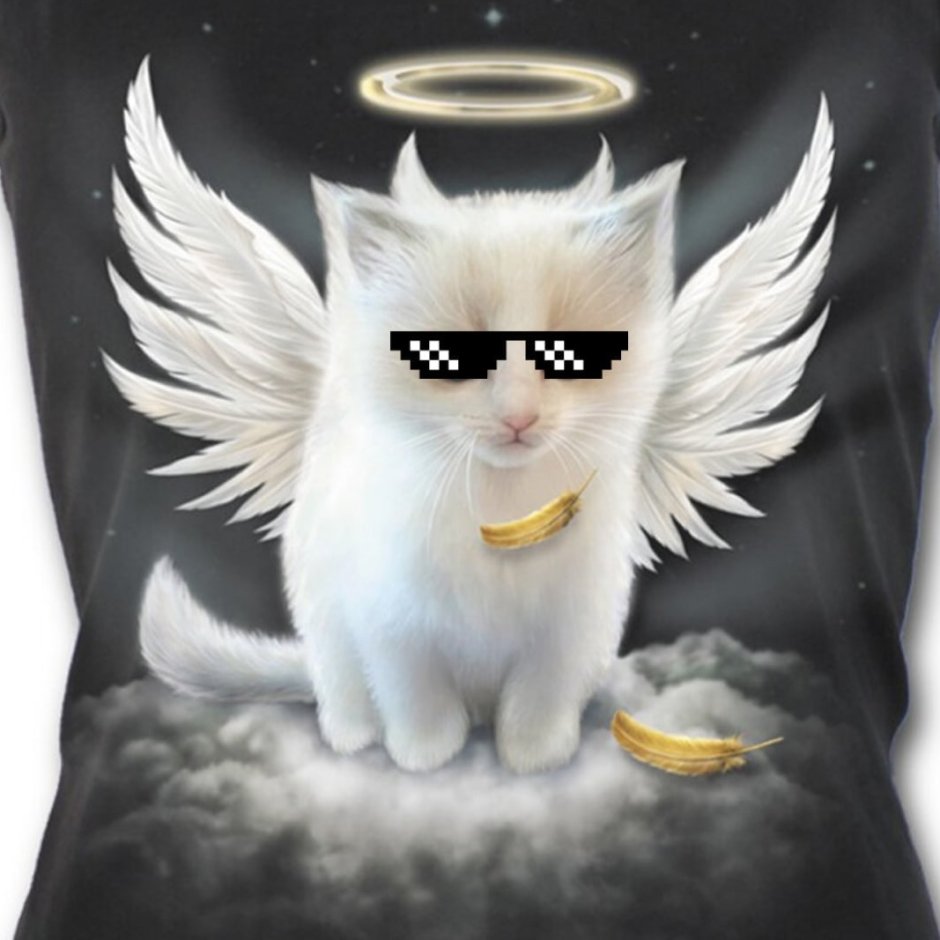 Ангельский кот