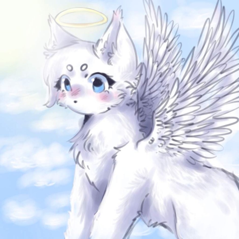 Ангелочек Кастл Кэт