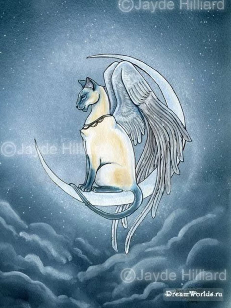 Кот ангел тату