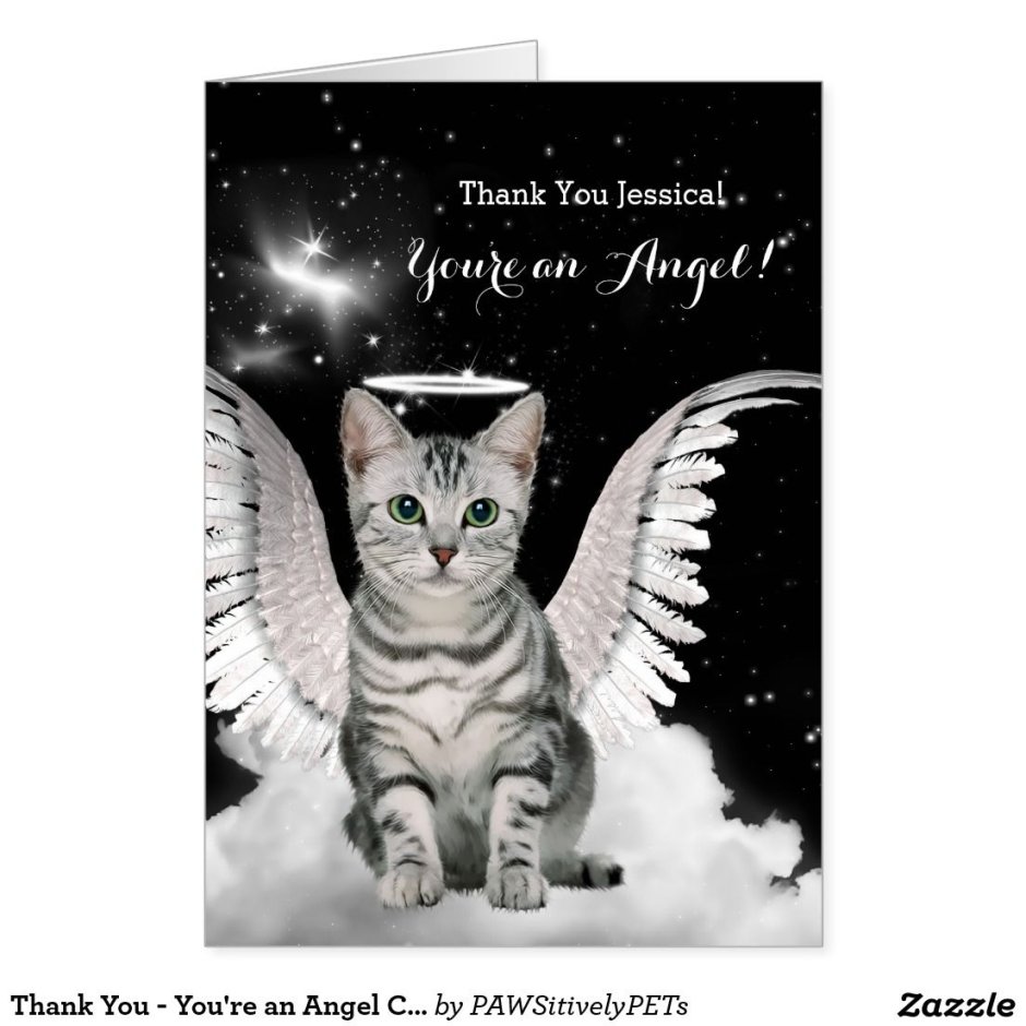 Поздравление ангел кошки