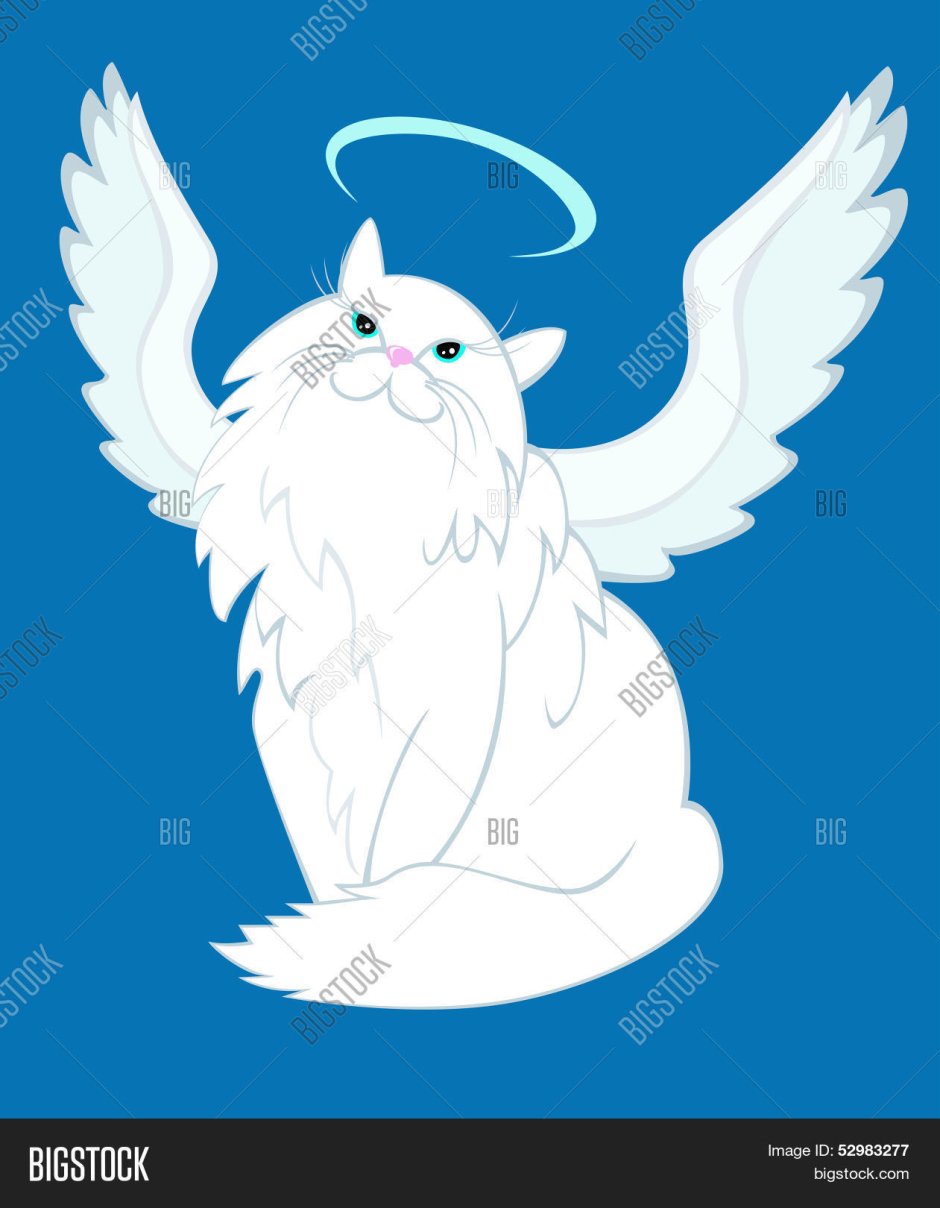 Кот с нимбом