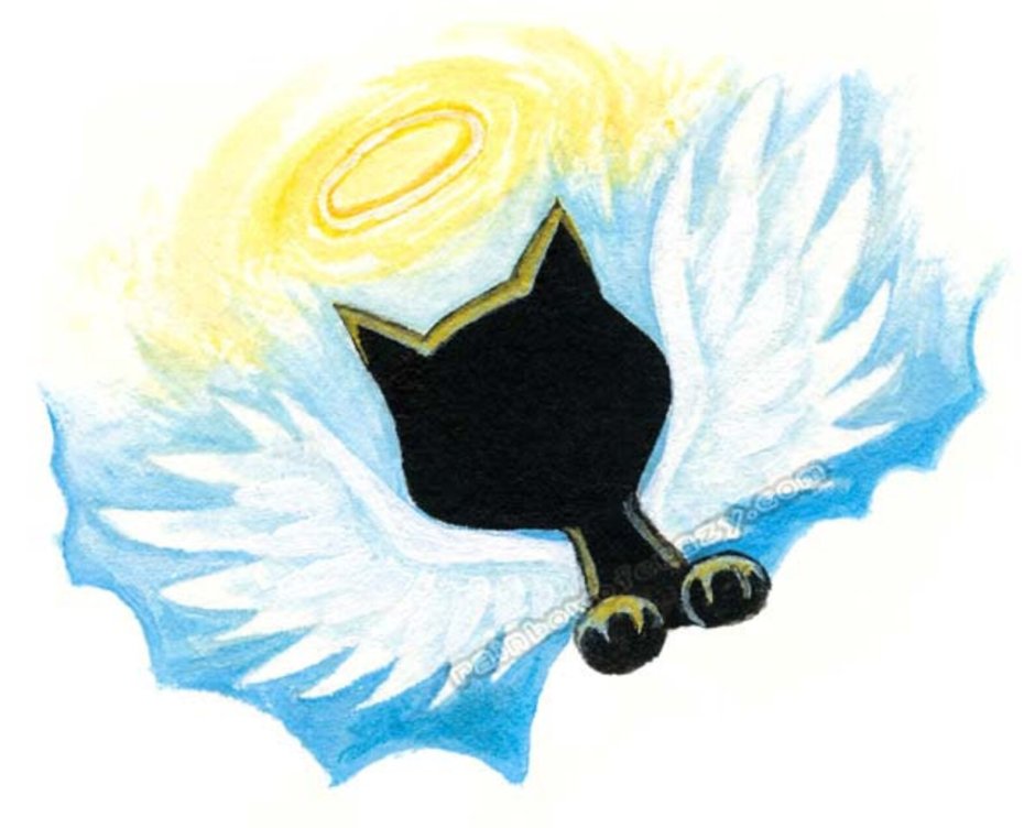 Черный кот ангел хранитель