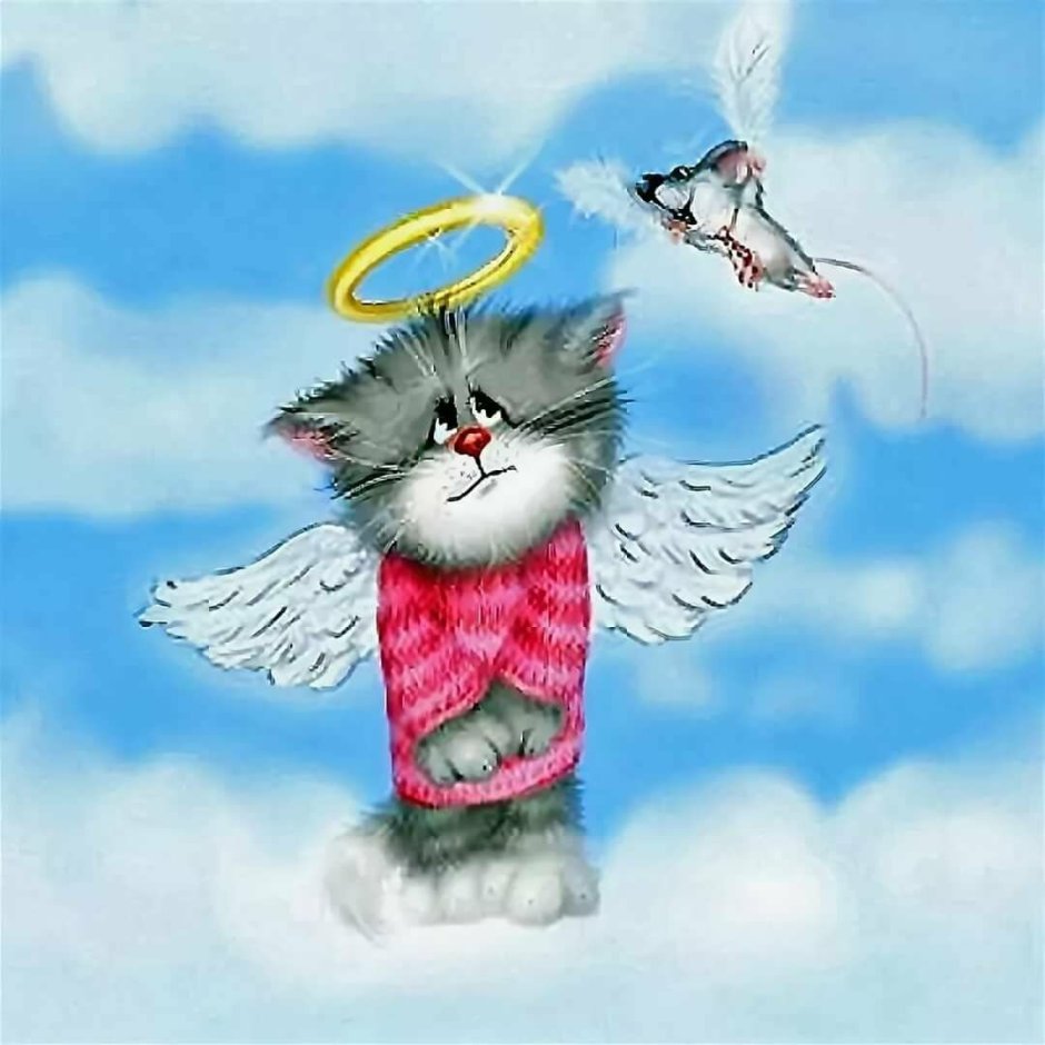 Коты Алексея Долотова любовь