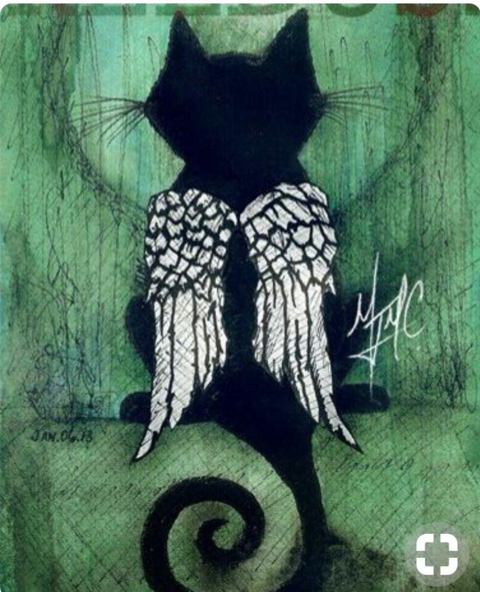Черный кот ангел