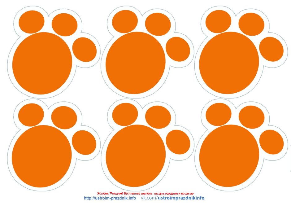 Три кота следы