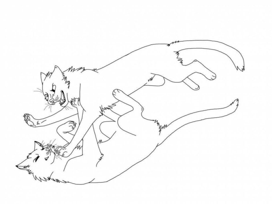 Коты Воители битва референс