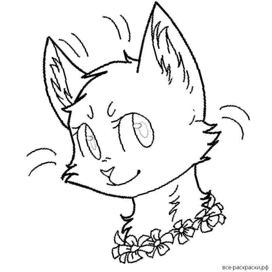 Раскраска коты Воители Бич