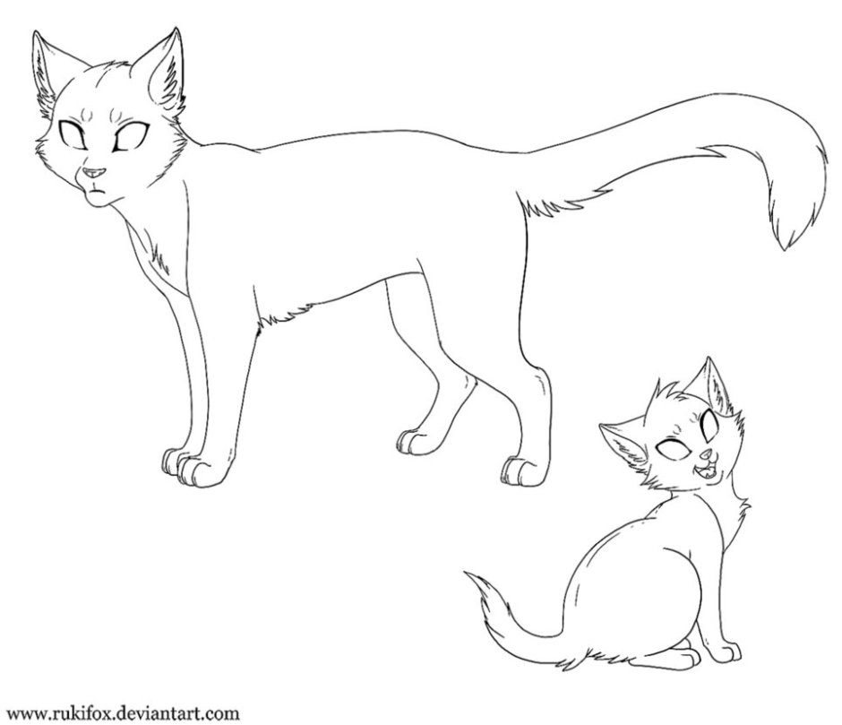 Коты Воители раскрашивать