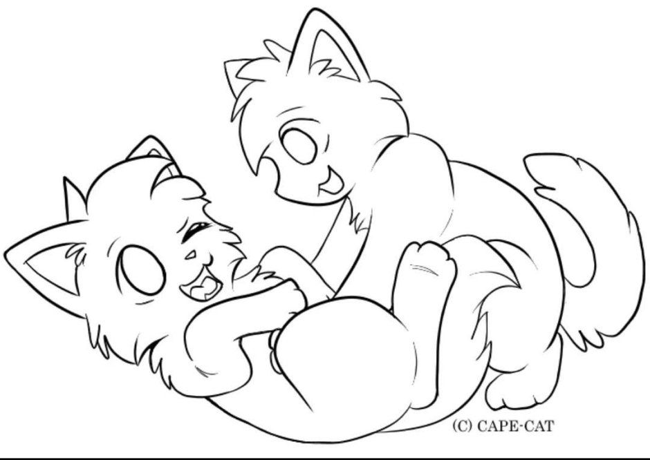 Лайн коты Воители сестры