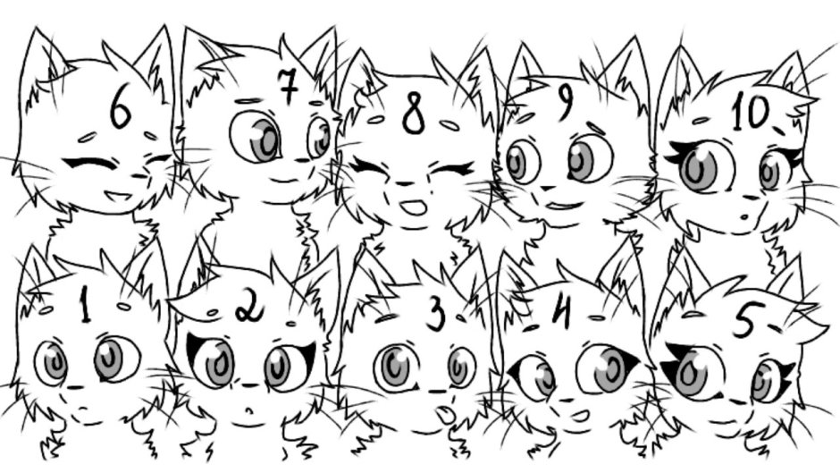 Коты Воители раскраска команда