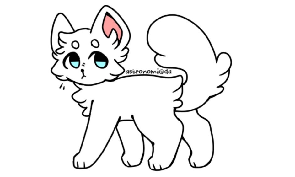 Милые лайны котов