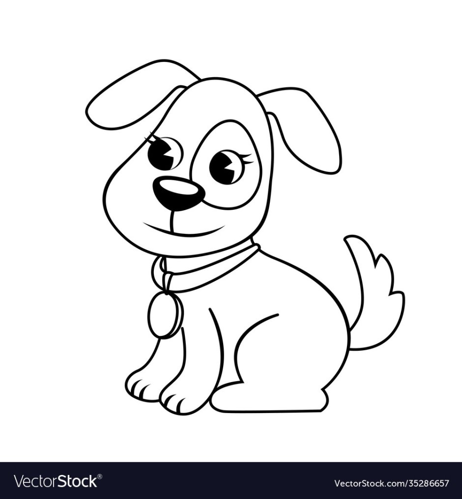 Небольшая черно- белая собачка