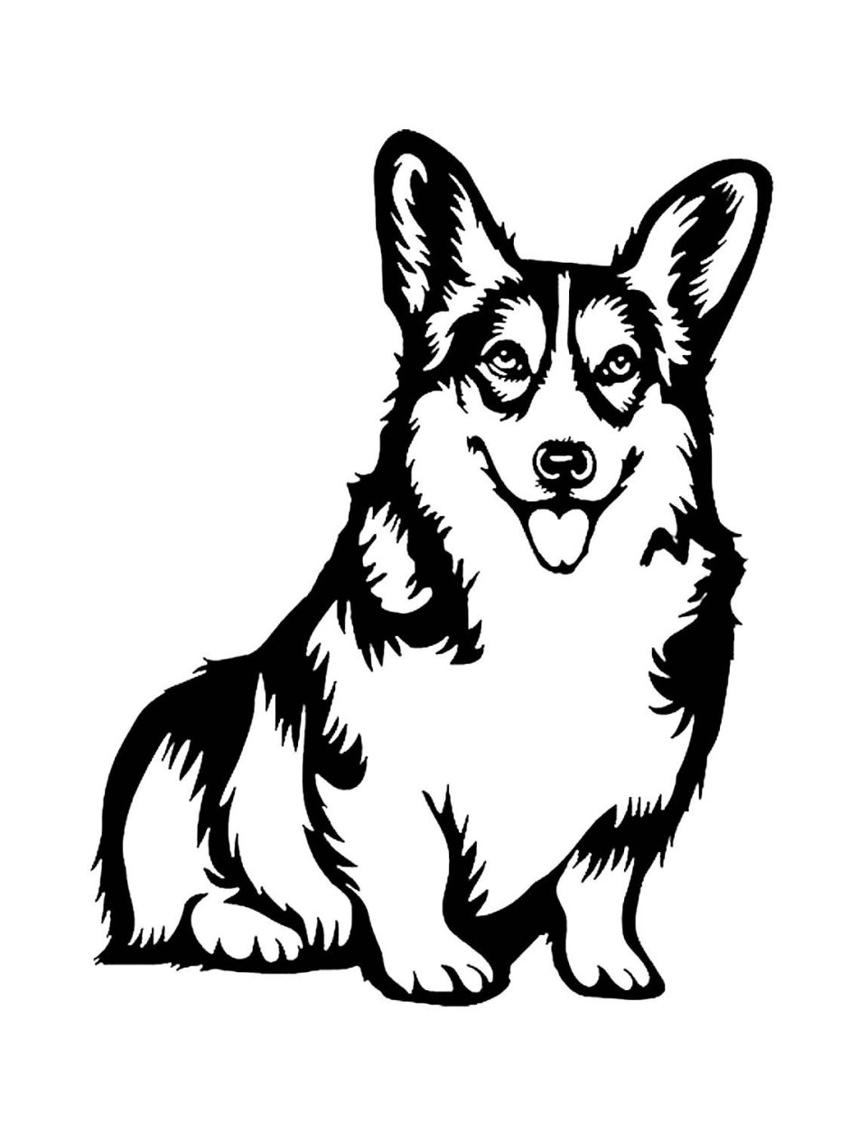Вельш корги пемброк раскраска