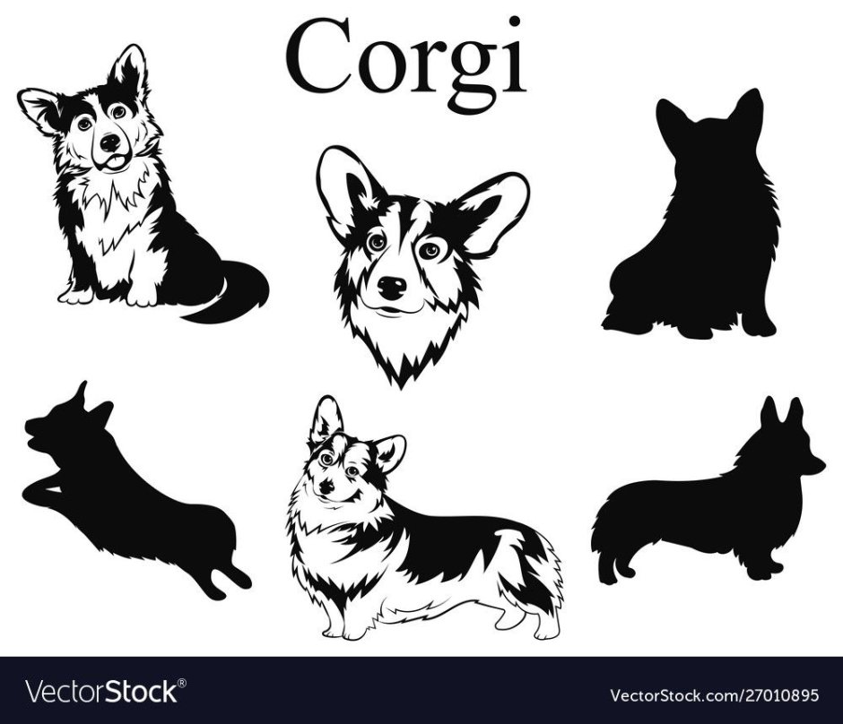 Трафарет корги