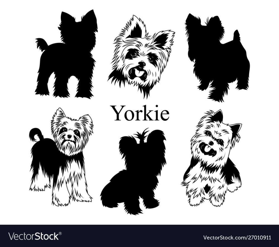 Йоркширский терьер силуэт