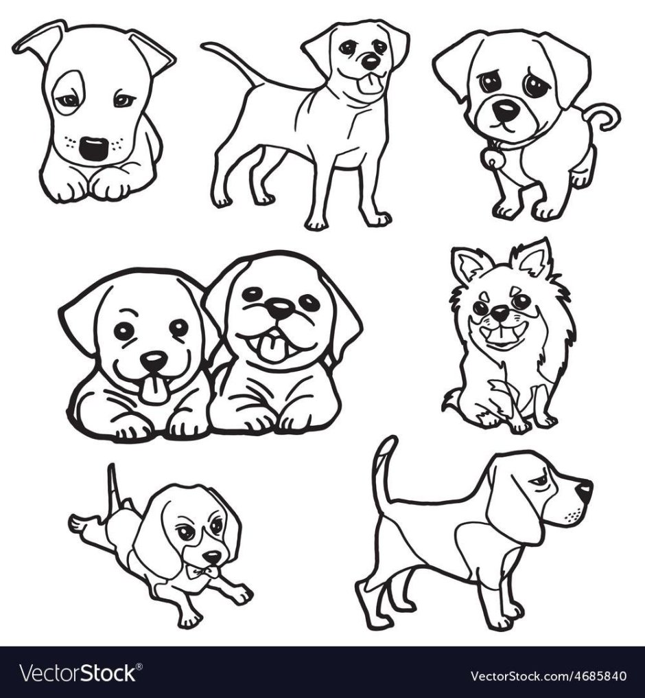 Раскраска маленькие собачки