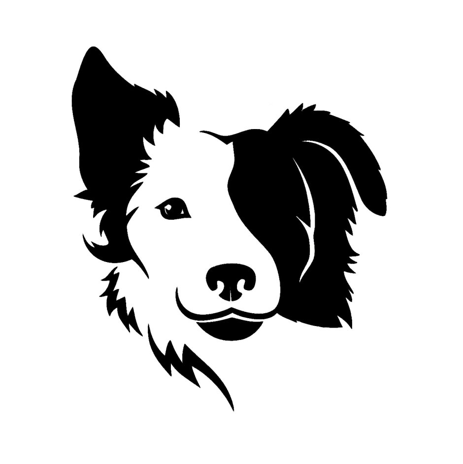 Бордер колли черный силует