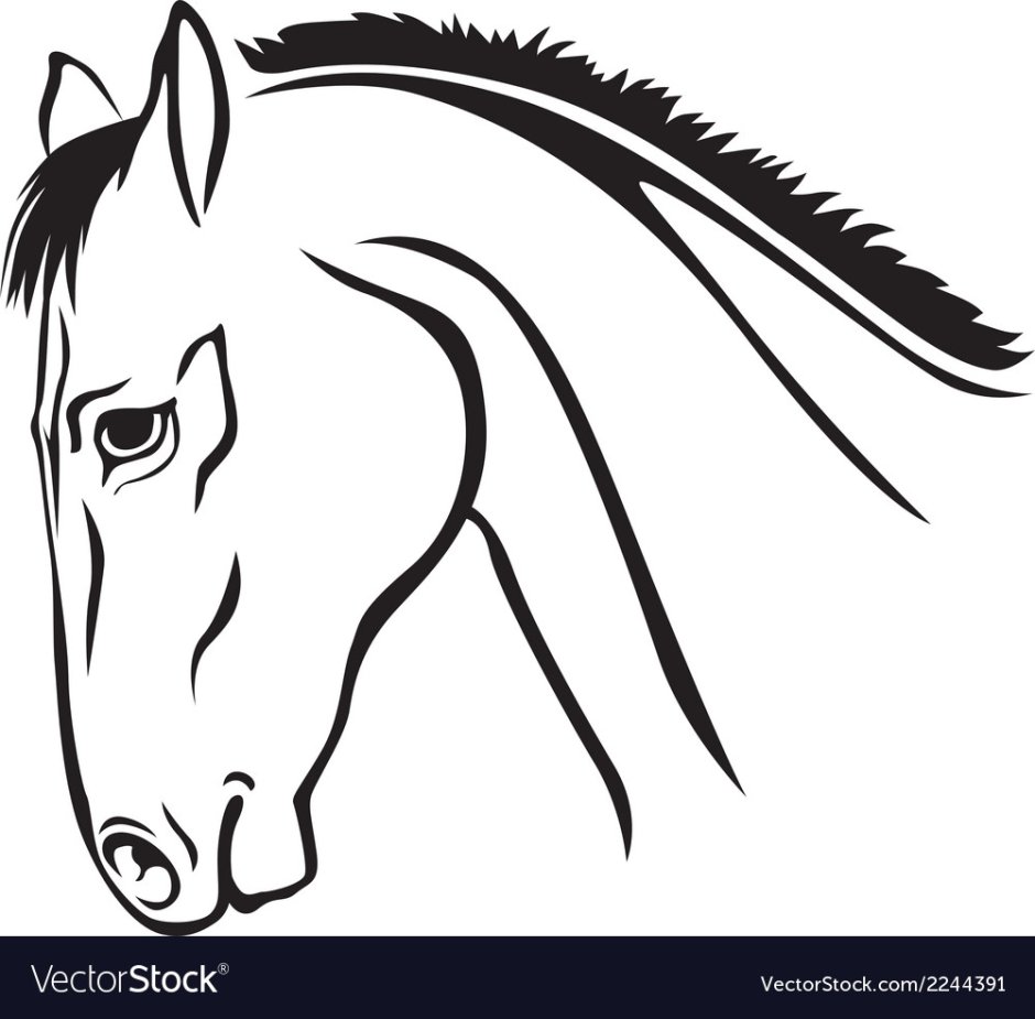 Морда лошади схематично