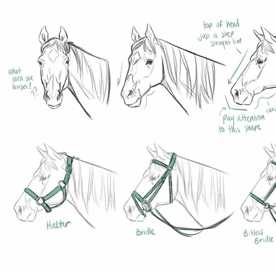 Туториал по рисованию лошади