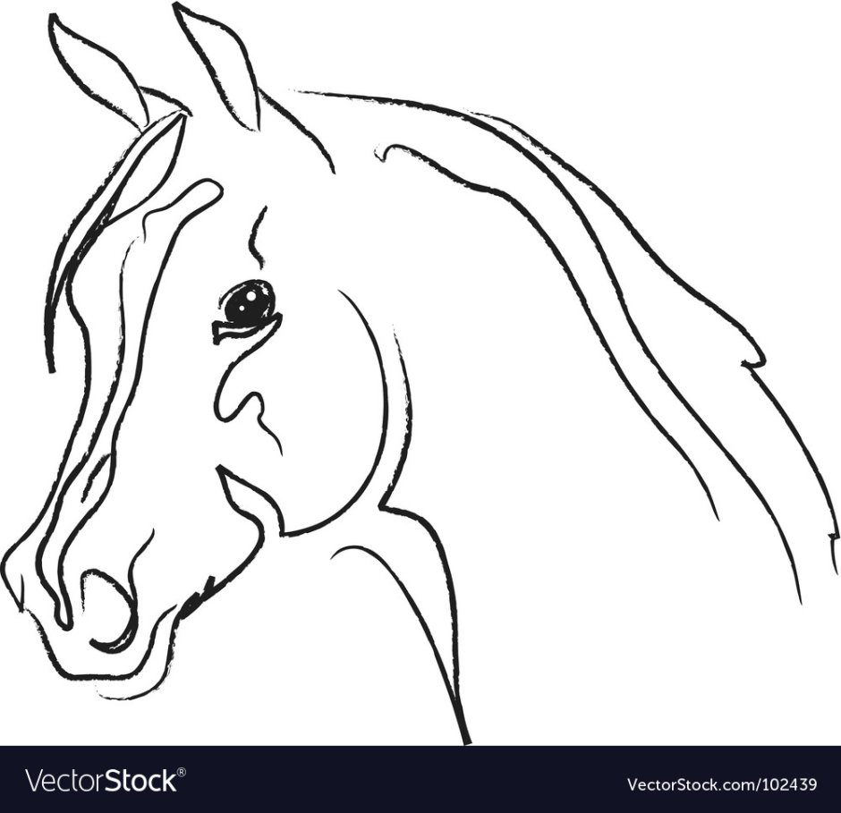 Лошадь карандашом голова контур