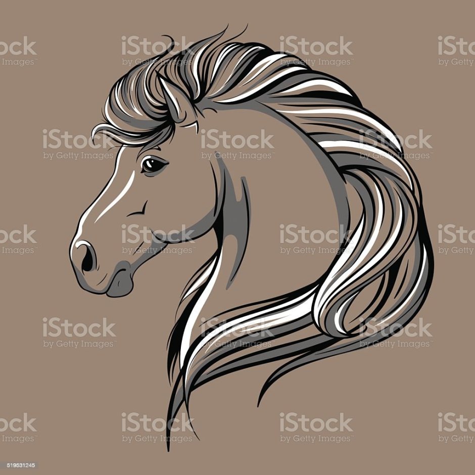 Эскиз головы лошади в профиль