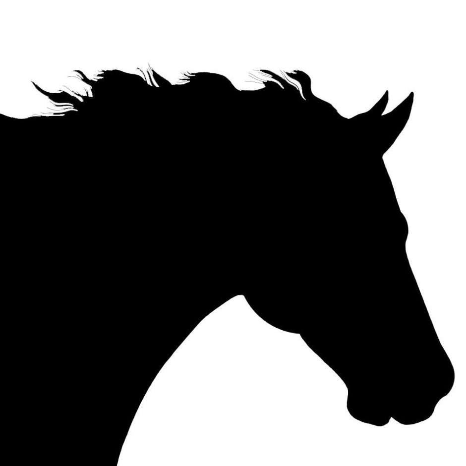 Силуэт лошадиной головы с боку