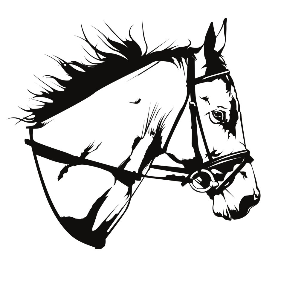 Голова лошади